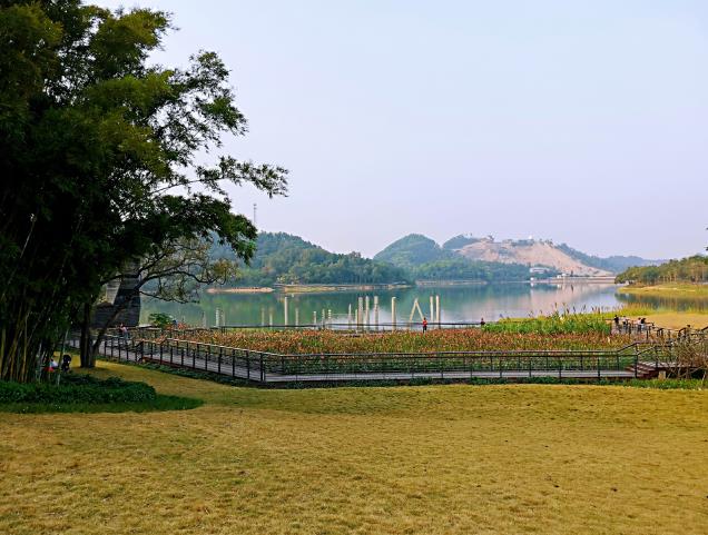 11.22-1-17.jpg 11.22-1-17.jpg