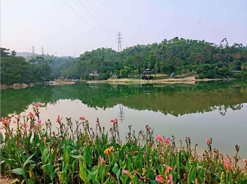 11.22-1-18.jpg 11.22-1-18.jpg